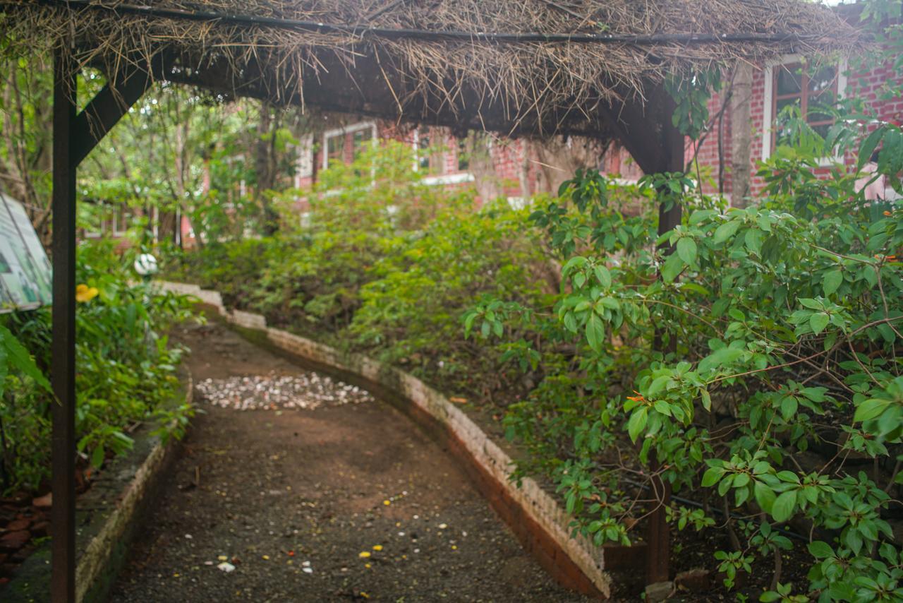 Sterling Nature Trails Dabhosa , Jawahar Birjpara Екстериор снимка